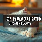 急!狗狗爪子缝隙红肿溃烂用什么药?(图1) 急!狗狗爪子缝隙红肿溃烂用什么药?(图1)
