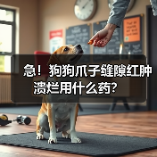 急!狗狗爪子缝隙红肿溃烂用什么药?(图2) 急!狗狗爪子缝隙红肿溃烂用什么药?(图2)