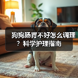 狗狗肠胃不好怎么调理?科学护理指南(图2) 狗狗肠胃不好怎么调理?科学护理指南(图2)