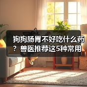 狗狗肠胃不好吃什么药?兽医推荐这5种常用药(图1) 狗狗肠胃不好吃什么药?兽医推荐这5种常用药(图1)
