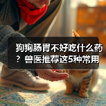 狗狗肠胃不好吃什么药?兽医推荐这5种常用药(图4) 狗狗肠胃不好吃什么药?兽医推荐这5种常用药(图4)