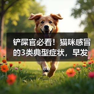 铲屎官必看!猫咪感冒的3类典型症状,早发现早治疗(图2) 铲屎官必看!猫咪感冒的3类典型症状,早发现早治疗(图2)