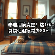 泰迪泪痕克星!这10种食物让泪痕减少80%(图2) 泰迪泪痕克星!这10种食物让泪痕减少80%(图2)