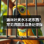 猫咪吐黄水不吃东西?常见病因及应急处理指南(图2) 猫咪吐黄水不吃东西?常见病因及应急处理指南(图2)