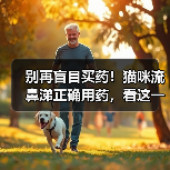 别再盲目买药！猫咪流鼻涕正确用药，看这一篇就够了（图1）