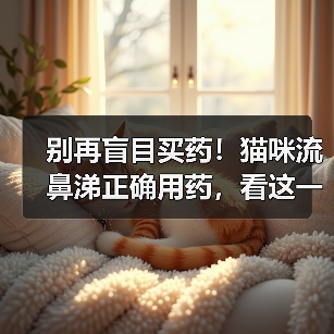 别再盲目买药！猫咪流鼻涕正确用药，看这一篇就够了（图2）