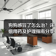 狗狗感冒了怎么治?详细用药及护理指南分享(图2) 狗狗感冒了怎么治?详细用药及护理指南分享(图2)