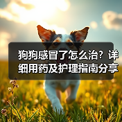狗狗感冒了怎么治?详细用药及护理指南分享(图3) 狗狗感冒了怎么治?详细用药及护理指南分享(图3)
