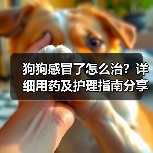 狗狗感冒了怎么治?详细用药及护理指南分享(图1) 狗狗感冒了怎么治?详细用药及护理指南分享(图1)