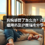 狗狗感冒了怎么治?详细用药及护理指南分享(图4) 狗狗感冒了怎么治?详细用药及护理指南分享(图4)