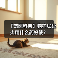 【宠医科普】狗狗脚趾炎用什么药好使?(图2) 【宠医科普】狗狗脚趾炎用什么药好使?(图2)