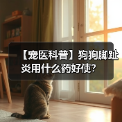 【宠医科普】狗狗脚趾炎用什么药好使?(图4) 【宠医科普】狗狗脚趾炎用什么药好使?(图4)
