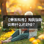 【宠医科普】狗狗脚趾炎用什么药好使?(图1) 【宠医科普】狗狗脚趾炎用什么药好使?(图1)