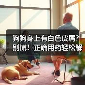 狗狗身上有白色皮屑？别慌！正确用药轻松解决（图2）