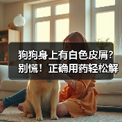 狗狗身上有白色皮屑？别慌！正确用药轻松解决（图4）