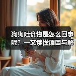 狗狗吐食物是怎么回事呢?一文读懂原因与解决方法(图1) 狗狗吐食物是怎么回事呢?一文读懂原因与解决方法(图1)