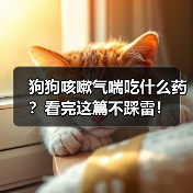 狗狗咳嗽气喘吃什么药?看完这篇不踩雷!(图3) 狗狗咳嗽气喘吃什么药?看完这篇不踩雷!(图3)
