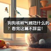 狗狗咳嗽气喘吃什么药?看完这篇不踩雷!(图2) 狗狗咳嗽气喘吃什么药?看完这篇不踩雷!(图2)