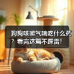 狗狗咳嗽气喘吃什么药?看完这篇不踩雷!(图1) 狗狗咳嗽气喘吃什么药?看完这篇不踩雷!(图1)