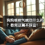 狗狗咳嗽气喘吃什么药?看完这篇不踩雷!(图4) 狗狗咳嗽气喘吃什么药?看完这篇不踩雷!(图4)