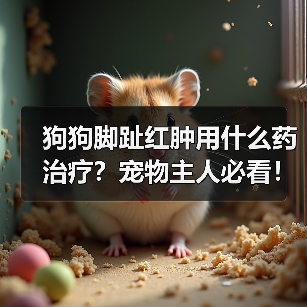 狗狗脚趾红肿用什么药治疗?宠物主人必看!(图1) 狗狗脚趾红肿用什么药治疗?宠物主人必看!(图1)