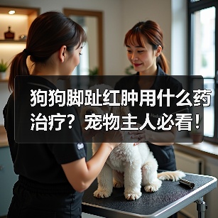 狗狗脚趾红肿用什么药治疗?宠物主人必看!(图3) 狗狗脚趾红肿用什么药治疗?宠物主人必看!(图3)