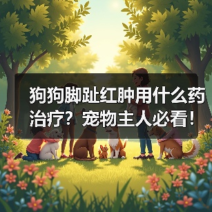 狗狗脚趾红肿用什么药治疗?宠物主人必看!(图4) 狗狗脚趾红肿用什么药治疗?宠物主人必看!(图4)