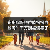 狗狗髌骨脱位能慢慢自愈吗?千万别被误导了!(图4) 狗狗髌骨脱位能慢慢自愈吗?千万别被误导了!(图4)