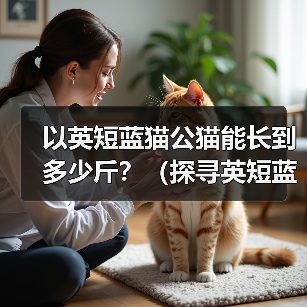 以英短蓝猫公猫能长到多少斤？（探寻英短蓝猫公猫的体重极限及影响因素）（图3）