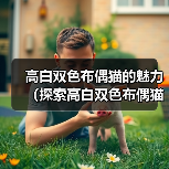 高白双色布偶猫的魅力（探索高白双色布偶猫的独特魅力，迷人的品种特征和可爱的个性）（图3）