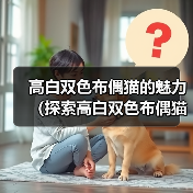 高白双色布偶猫的魅力（探索高白双色布偶猫的独特魅力，迷人的品种特征和可爱的个性）（图4）