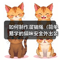 如何制作溜猫绳(简单易学的猫咪安全外出装备制作方法)(图4) 如何制作溜猫绳(简单易学的猫咪安全外出装备制作方法)(图4)
