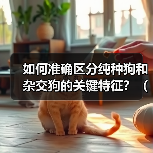 如何准确区分纯种狗和杂交狗的关键特征?(以狗怎么区分纯不纯,一起来看看吧!)(图4) 如何准确区分纯种狗和杂交狗的关键特征?(以狗怎么区分纯不纯,一起来看看吧!)(图4)