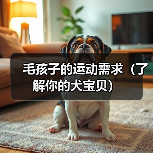 毛孩子的运动需求(了解你的犬宝贝)(图1) 毛孩子的运动需求(了解你的犬宝贝)(图1)