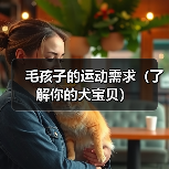 毛孩子的运动需求(了解你的犬宝贝)(图2) 毛孩子的运动需求(了解你的犬宝贝)(图2)