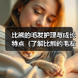比熊的毛发护理与成长特点(了解比熊的毛发护理时间和成熟阶段)(图3) 比熊的毛发护理与成长特点(了解比熊的毛发护理时间和成熟阶段)(图3)