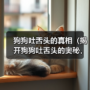 狗狗吐舌头的真相(揭开狗狗吐舌头的奥秘,6个关键真相一览无余)(图4) 狗狗吐舌头的真相(揭开狗狗吐舌头的奥秘,6个关键真相一览无余)(图4)