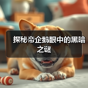 探秘帝企鹅眼中的黑暗之谜(图2) 探秘帝企鹅眼中的黑暗之谜(图2)