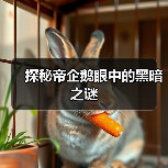 探秘帝企鹅眼中的黑暗之谜(图3) 探秘帝企鹅眼中的黑暗之谜(图3)