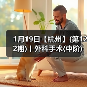 1月19日【杭州】(第122期)丨外科手术(中阶)实战班,2人/组提供一猫一狗,实操超多!(图4) 1月19日【杭州】(第122期)丨外科手术(中阶)实战班,2人/组提供一猫一狗,实操超多!(图4)