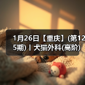 1月26日【重庆】(第125期)丨犬猫外科(高阶)班！含SUB(人人可实操)、乳糜胸等技术！