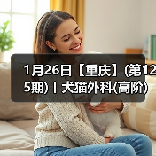 1月26日【重庆】(第125期)丨犬猫外科(高阶)班!含SUB(人人可实操)、乳糜胸等技术!(图2) 1月26日【重庆】(第125期)丨犬猫外科(高阶)班!含SUB(人人可实操)、乳糜胸等技术!(图2)