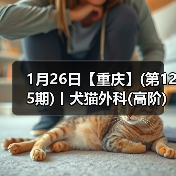 1月26日【重庆】(第125期)丨犬猫外科(高阶)班!含SUB(人人可实操)、乳糜胸等技术!(图4) 1月26日【重庆】(第125期)丨犬猫外科(高阶)班!含SUB(人人可实操)、乳糜胸等技术!(图4)