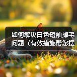 如何解决白色短袖掉毛问题(有效措施帮您摆脱烦恼,恢复短袖光彩)(图4) 如何解决白色短袖掉毛问题(有效措施帮您摆脱烦恼,恢复短袖光彩)(图4)
