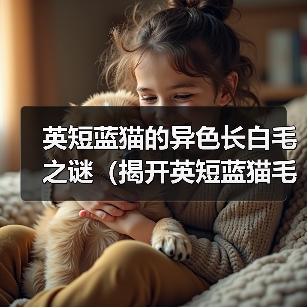 英短蓝猫的异色长白毛之谜（揭开英短蓝猫毛色异变的秘密）