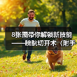 8张图带你解锁新技能——膀胱切开术(附手术视频)(图2) 8张图带你解锁新技能——膀胱切开术(附手术视频)(图2)