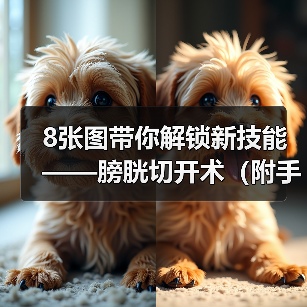 8张图带你解锁新技能——膀胱切开术(附手术视频)(图4) 8张图带你解锁新技能——膀胱切开术(附手术视频)(图4)
