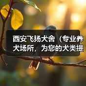 西安飞扬犬舍(专业养犬场所,为您的犬类提供全方位关爱和服务)(图2) 西安飞扬犬舍(专业养犬场所,为您的犬类提供全方位关爱和服务)(图2)