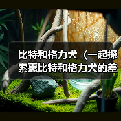 比特和格力犬(一起探索惠比特和格力犬的差异)(图4) 比特和格力犬(一起探索惠比特和格力犬的差异)(图4)