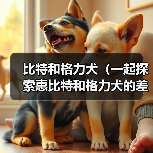 比特和格力犬(一起探索惠比特和格力犬的差异)(图3) 比特和格力犬(一起探索惠比特和格力犬的差异)(图3)